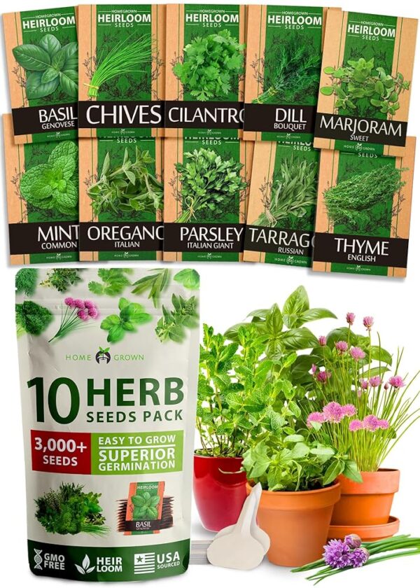 10 Culinary Herb Seeds - Non-GMO, Heirloom Seeds - 3000+ Seeds for Planting for Outdoor or Indoor Herb Garden, Basil, Cilantro, Parsley, Chives, Thyme, Oregano, Dill, Marjoram,...