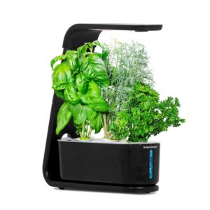 AeroGarden Sprout Indoor Hydroponic Herb Garden - Black (2020 Model)