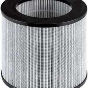 BISSELL (2801 MYair Personal Air Purifier Replacement Filter, 1 Count (Pack of 1)