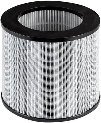 BISSELL (2801 MYair Personal Air Purifier Replacement Filter, 1 Count (Pack of 1)