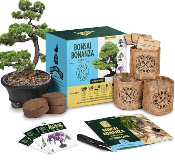 Bonsai Tree Kit - Grow 3 Mini Bonsai Trees, Indoor Plant Growing Kit - Bonsai Starter Kit with Bonsai Seeds, Soil, Planters & Shears, Gardening Gifts for Women, Fathers Day...