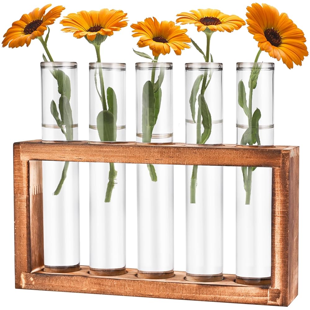 Desktop Glass Plant Propagation Station with 5 Test Tubes in Wooden Stand - Hydroponic Plants Cutting Office Home Decoration and Garden Decor Terrarium