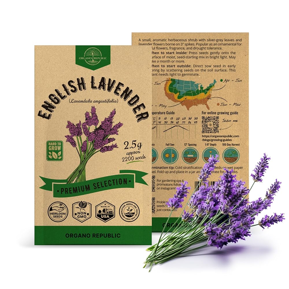 English Lavender Seeds Pack 2.5 G - Over 2,200 Non-GMO Heirloom Lavender Seeds for Planting Herbs in Individual Seed Packet, Herbs Seeds for Planting Home Garden Indoor &...