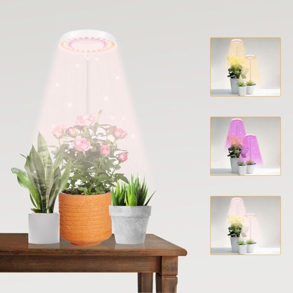 GooingTop LED Grow Light, Halo Plant Lamp for Indoor Plants Growing, White Low Light for Succulents Mini Small Plants Growth,Upgrade Timer 4/8/12/18 Hrs & Variable Spectrum