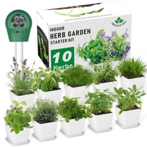 Herb Garden Kit Indoor Herb Garden Starter Kit - 10 Variety Herbs Kitchen Window Herb Garden Planter Indoor & Outdoor Growing Kit for Windowsill Countertop - Unique Gardening...