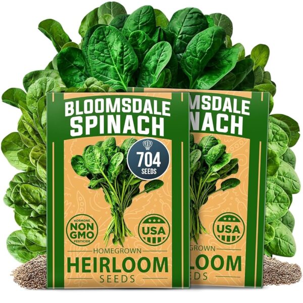 HOME GROWN Bloomsdale Spinach Seeds - 2 Bulk Packs (Spinacia oleracea) – 704 High Germination Non-GMO Heirloom Spinach Seeds for Planting – Leafy Green Lettuce Seeds for Home...