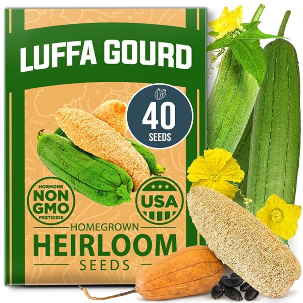 HOME GROWN Luffa Seeds - 40 Non-GMO, Heirloom Loofah Seeds for Planting, USA Sourced, Grow Loofah Sponges or Edible Young Luffa Vegetable (Luffa aegyptiaca)