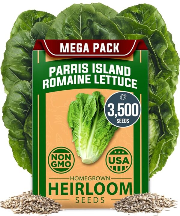 HOME GROWN Parris Island Romaine Lettuce Seed Pack - 3500+ High Germination Heirloom Non-GMO Vegetable Seeds, Lettuce Seeds for Planting, and for Hydroponic Garden Indoor and...