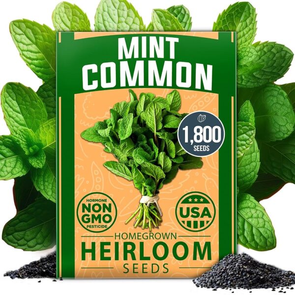 Home Grown Premium Common Mint Seeds - 1800 Non-GMO Heirloom Herb Seeds, USA Sourced | Ideal for Planting Mint Seeds Outdoors or Indoors for a Fresh Mint Tea Garden (Mentha spp)