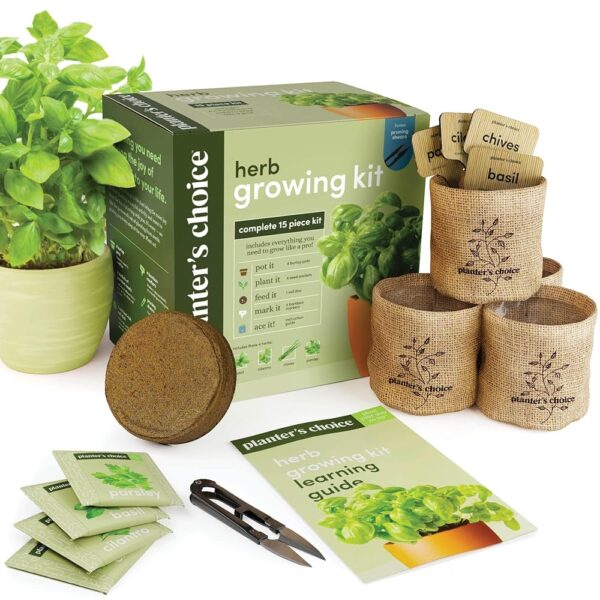 Indoor Herb Garden Starter Kit - Coolest Gifts for Women - Birthday Gifts for Her - House Warming Gift New Home for Plant Lovers - Womens, Wife, Mom Gifts - House Plants-...