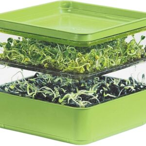 Seed Sprouter Kit, Two Tier Stackable Seedling Starter Tray with Lid, Microgreens Propagator Mini Plant Grow Trays, Germinate Seeds Indoors, Healthy Snacks, Bean Sprouts, Soil Free