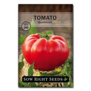 Sow Right Seeds - Beefsteak Tomato Seeds for Planting - Non-GMO Heirloom Packet with Instructions to Plant a Home Vegetable Garden - Indeterminate, Super Large and Bright Red...