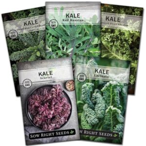 Sow Right Seeds - Kale Seed Collection for Planting - Non-GMO Heirloom Packet with Instructions to Plant and Grow a Home Vegetable Garden, Great Gardening Gift