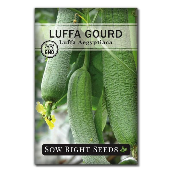 Sow Right Seeds - Luffa Gourd Seed for Planting - Non-GMO Heirloom Packet with Instructions to Plant a Home Vegetable Garden - Grow Your Own Loofah Sponge at Home - Show Off...