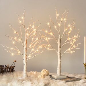 Vanthylit White Birch Tree with LED Lights - Set of 2, LED Tabletop Tree with Timer, Christmas Decorations Lighted Tree for Indoor Mantel Home Decor (2 FT, 24 LED)